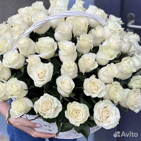 101 роза цветы букеты доставка 25 51 101 роза