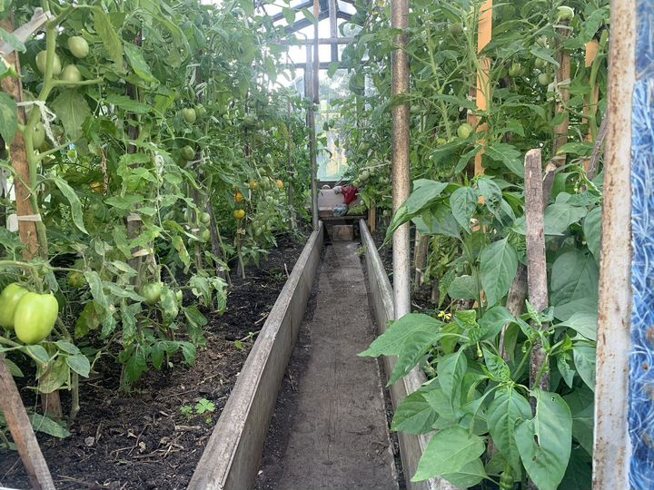 Дача 80 м² на участке 12 сот.