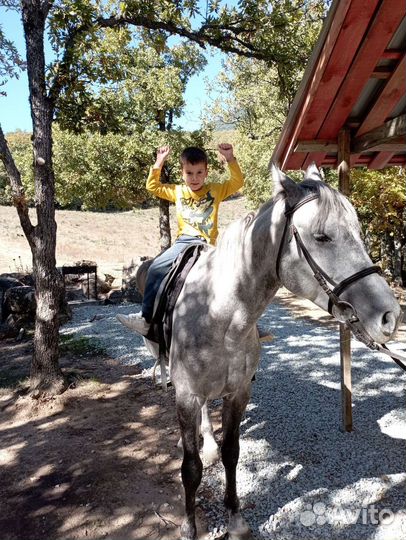 Конные прогулки к Бирюзовому озеру