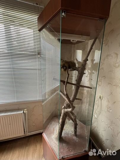 Террариум для рептилий