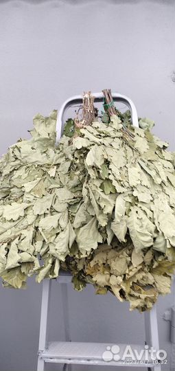 Дубовые веники для бани