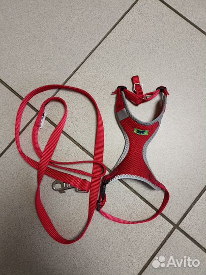 Комбинезоны для стандартной таксы, шлейка для такс