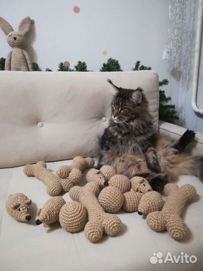 Игрушки для кошек, собак, мячики, косточки, мышки