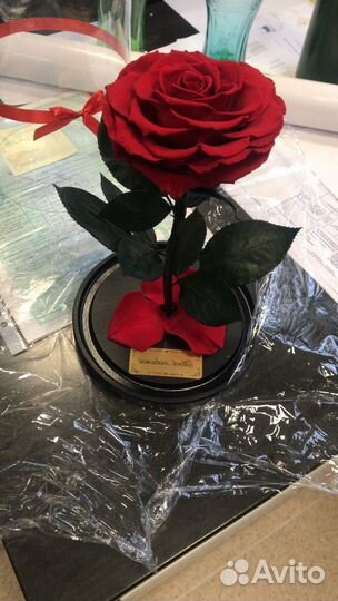 Розы в колбе. От производителя