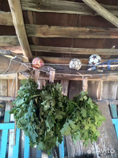 Веники для бани