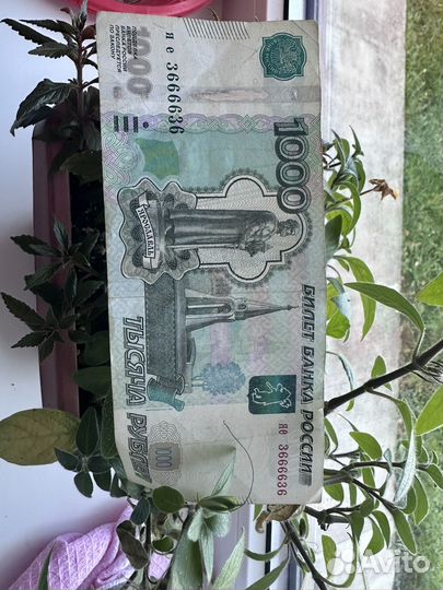 Банкнота 1000 р