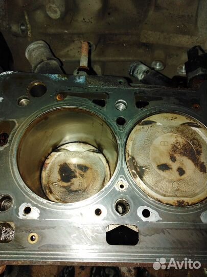 Блок цилиндров двигатель Ниссан Альмера G15 Almera