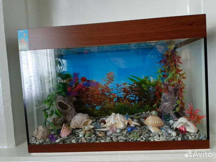 Аквариум на 60 литров