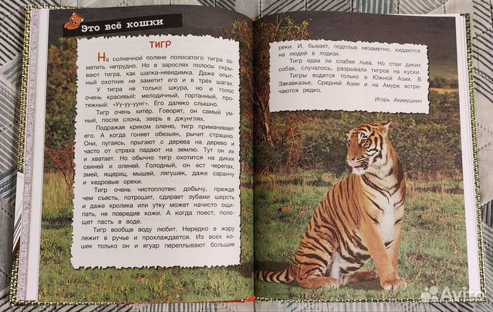 Большая книга про кошек