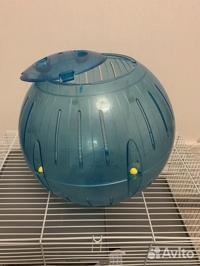 Клетка и еще много всего для хомяка