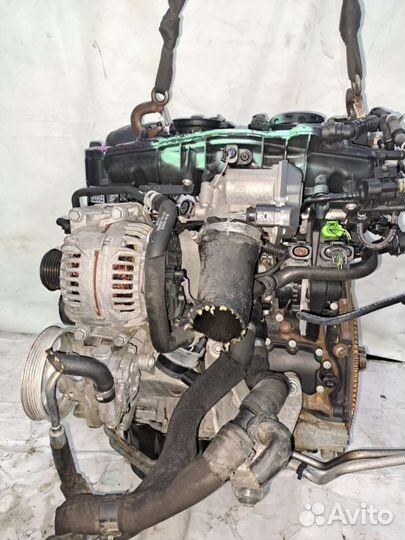 Контрактный двигатель Audi Q5 CDN