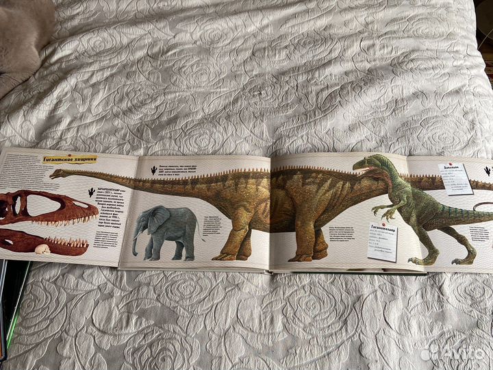Книга о Динозаврах