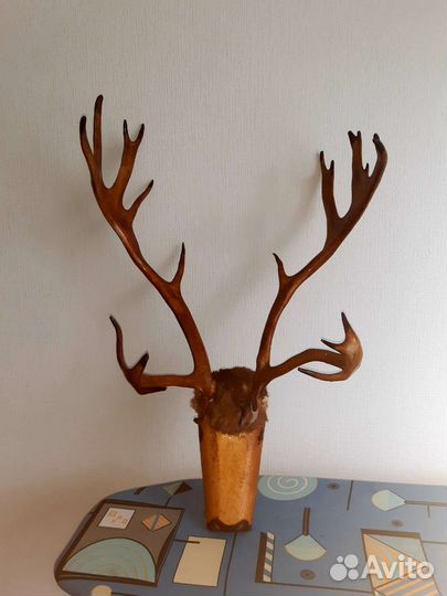 Оленьи рога -вешалка