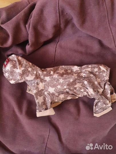 Одежда для собак мелких пород