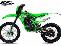 Promax daikon PR330 green-white