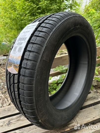 Ikon Tyres Nordman SX3 205/55 R16 91H