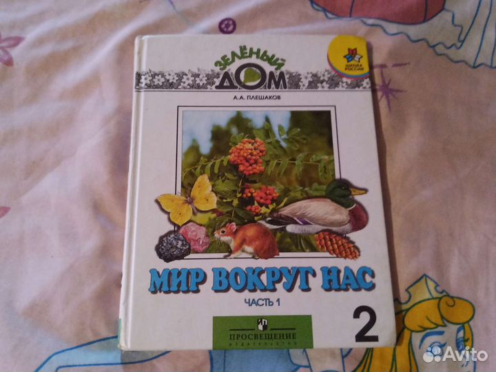 Окружающий мир 2 класс Плешаков
