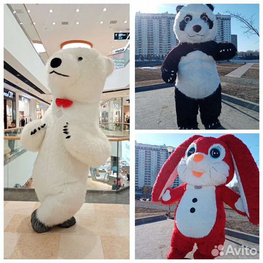 Белый мишка поздравление/Панда, Зайчик/Аниматор