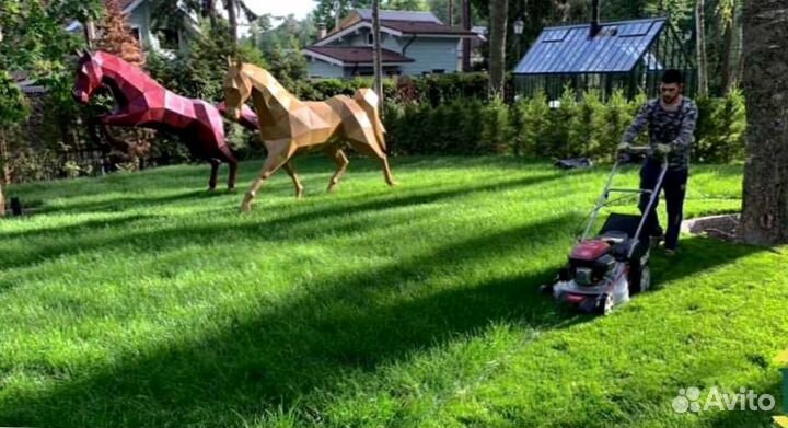 Рулонный газон