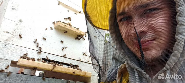 Курсы пчеловодства на пасеке