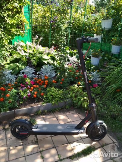 Электросамокат Rash hour