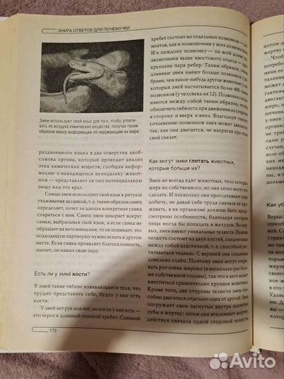 Детская энциклопедия