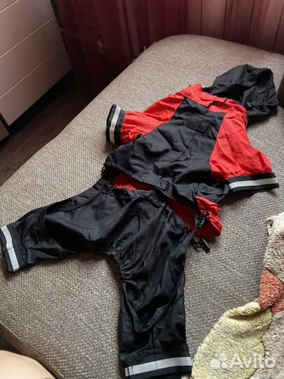 Костюм для собаки