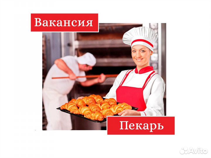 Повар (зп каждый день)