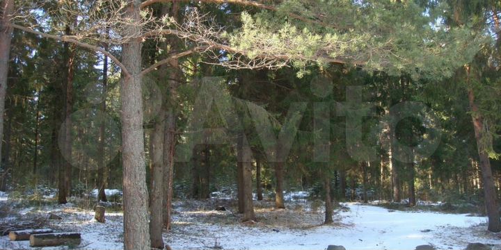 Участок 11,2 га (СНТ, ДНП)