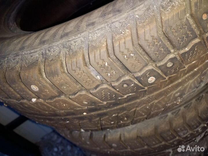 Matador MP 50 Sibir Ice 195/65 R15