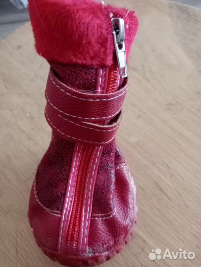 Обувь для собак