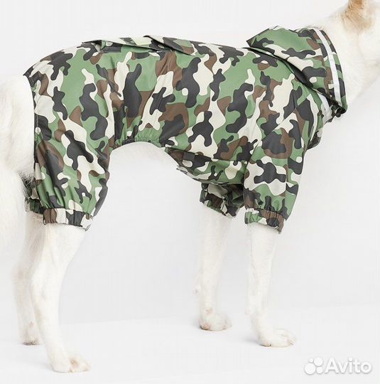 Дождевик для собаки