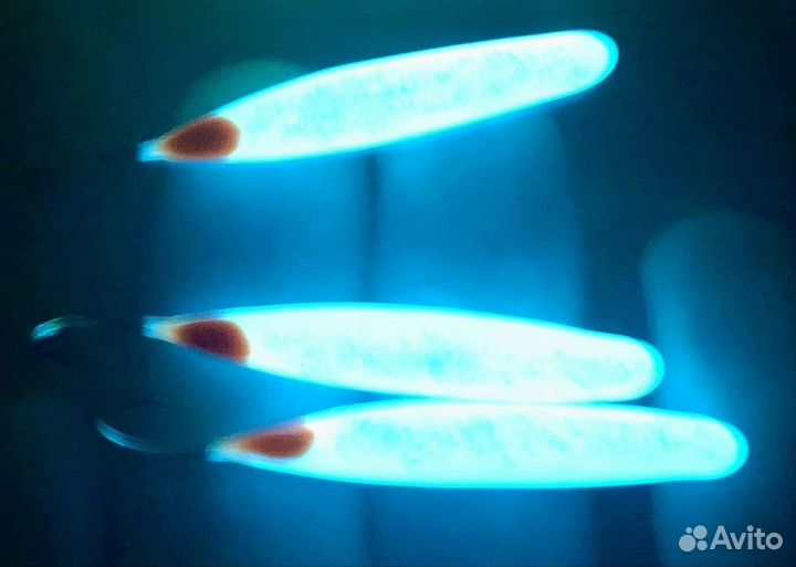 Зимняя удочка