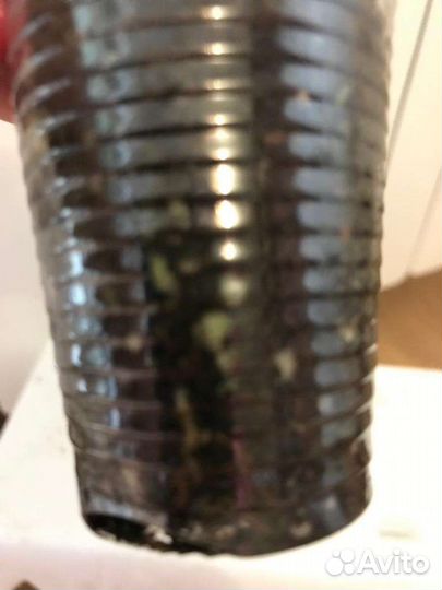 Спатифиллум Пикассо