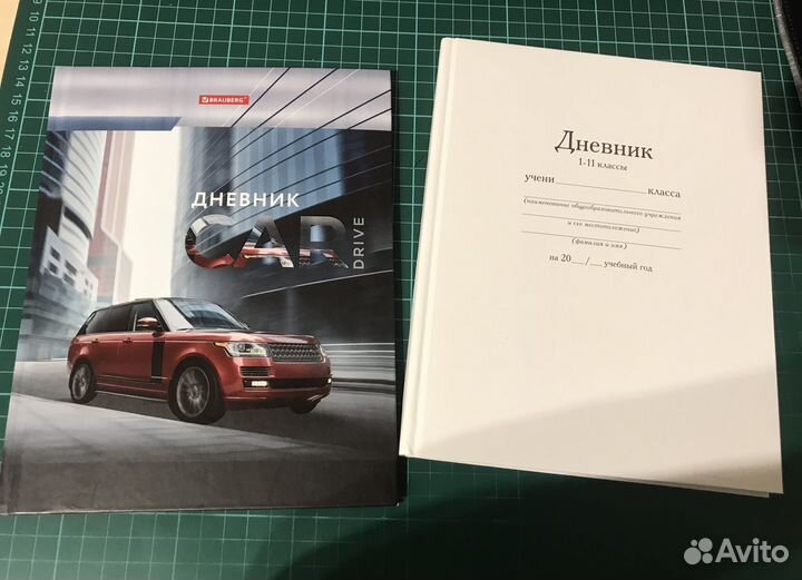 Дневник школьный новый