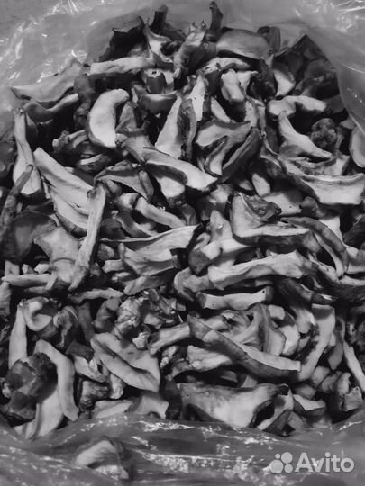 Растение, клубни топинамбура