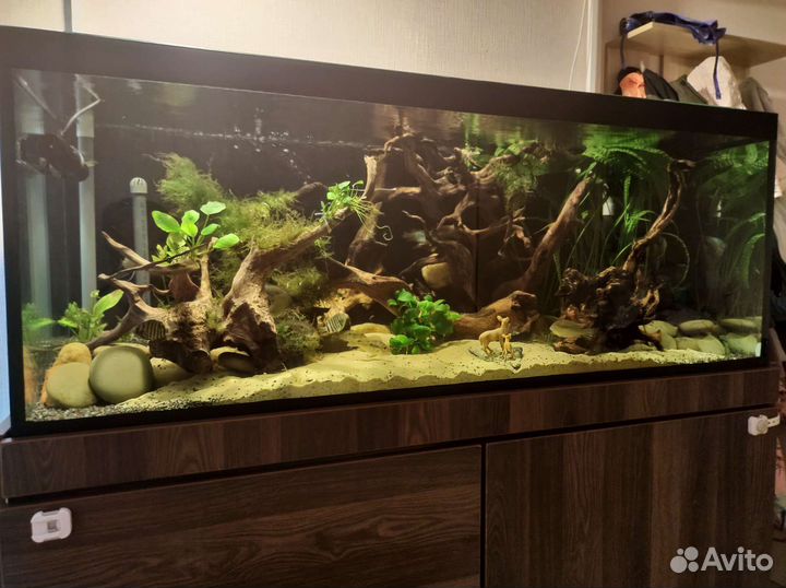 Аквариум