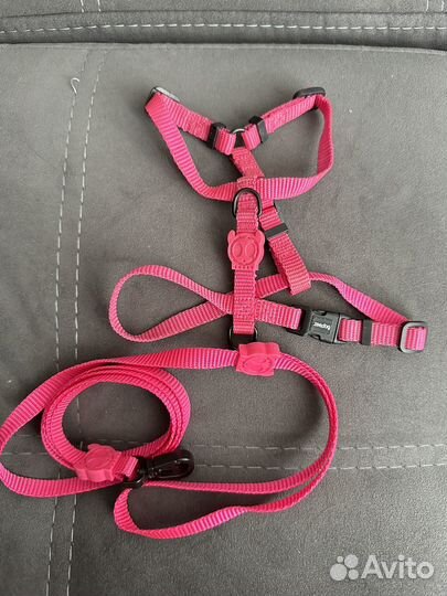 Шлейка zee.dog на щенка или маленькую собачку