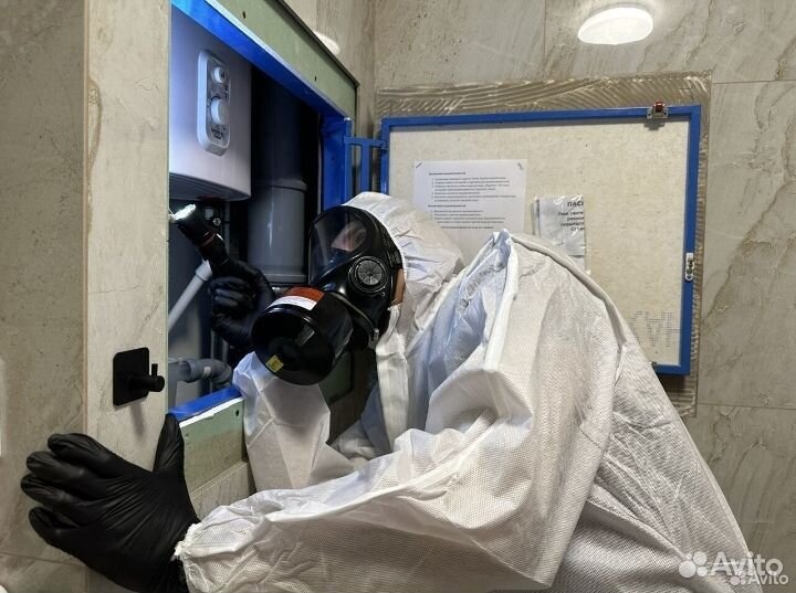 Уничтожение тараканов клопов мышей блох муравьёв