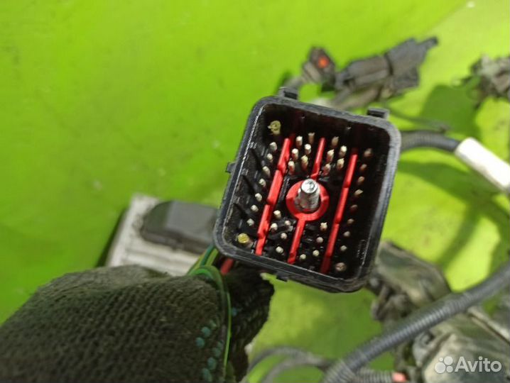 Проводка двигателя Ford Fusion хэтчбэк fxja 2008