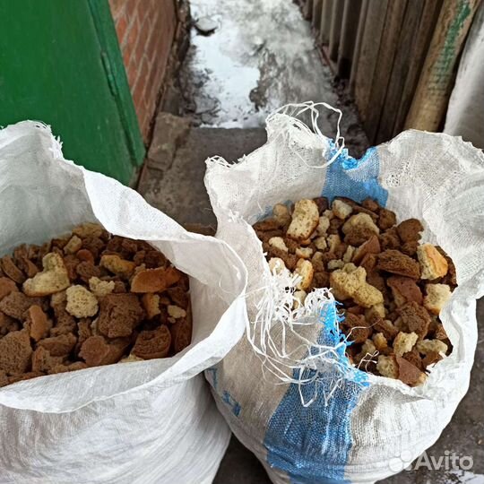 Товары для животных