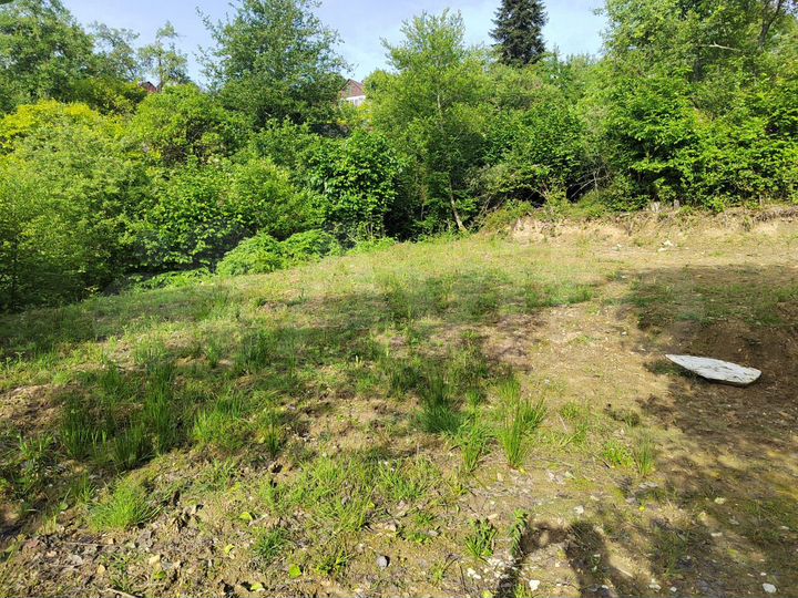 Участок 4 сот. (СНТ, ДНП)