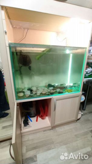 Аквариум акватеррариум для черепахи