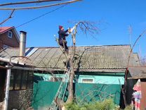 Спил деревьев в снт