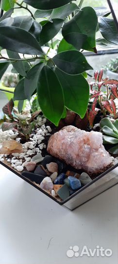 Флорариум бонсай с полудрагоценными камнями