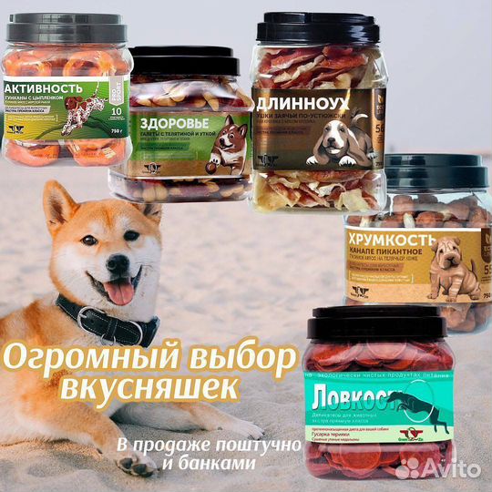 Зоотовары для всех видов животных. Опт и розница