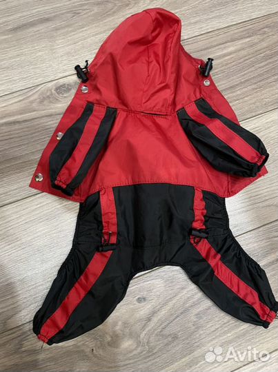 Дождевик для маленькой собаки