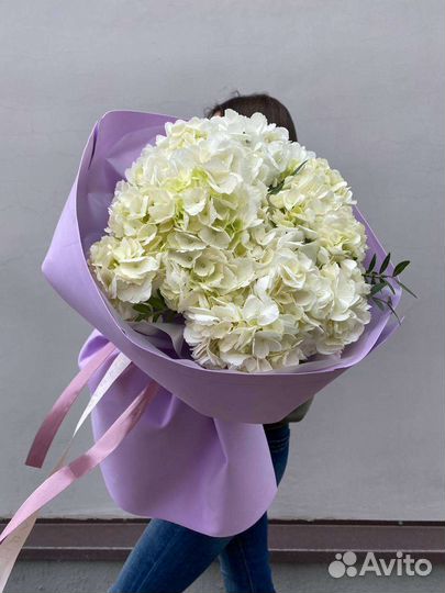 Моно гортензии