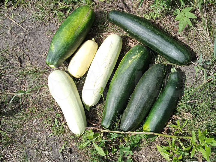 Дача 20 м² на участке 7,5 сот.