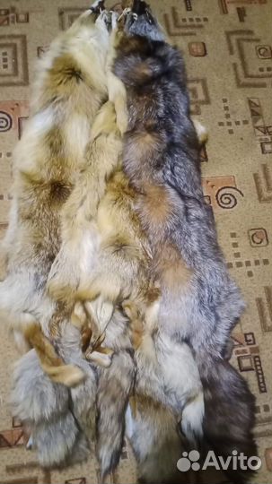 Шкурка животного